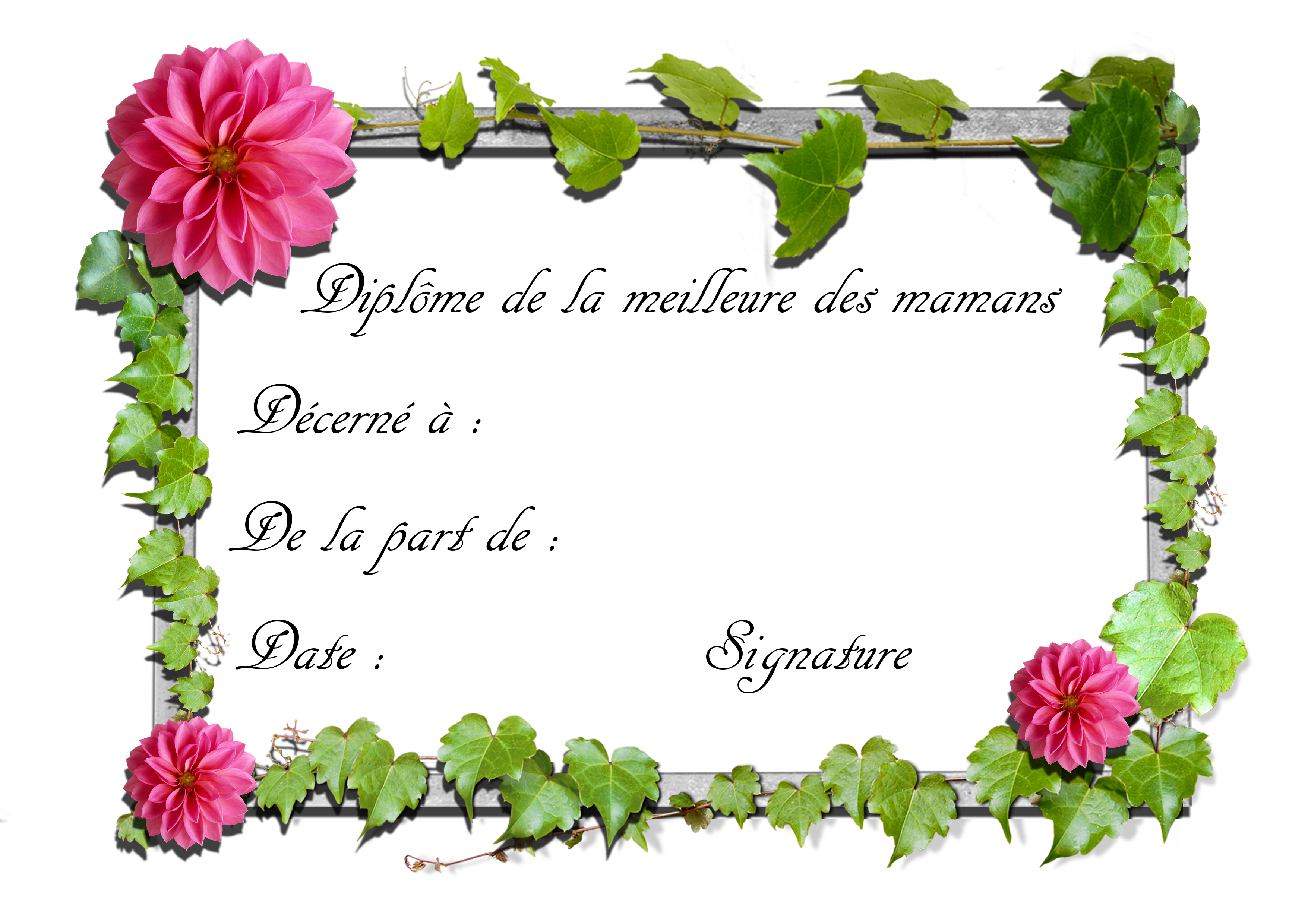 clipart gratuit diplome - photo #28